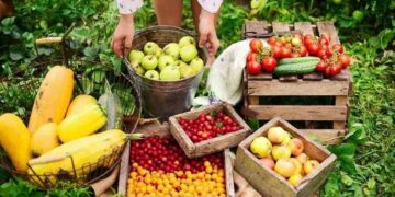 ELABORACIÓN DE REFRESCOS Y AGUAS DE BEBIDAS ENVASADAS